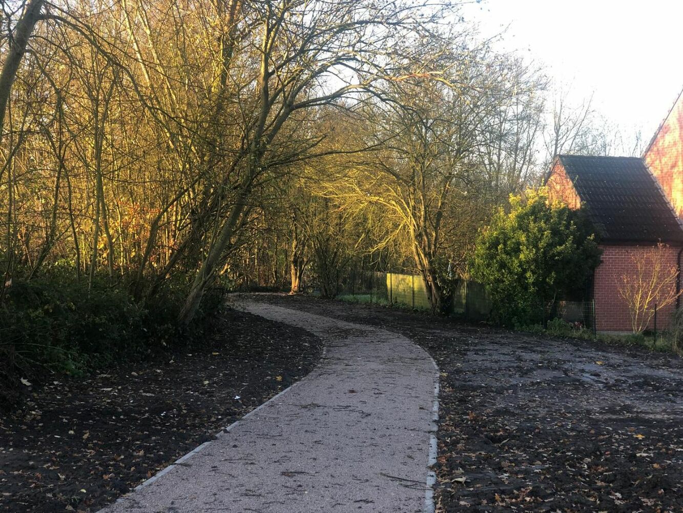 Aménageons le parc aux arbres aux papillons