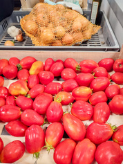 Atelier sur la conservation de la tomate de jardin