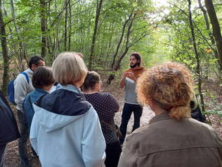 Cueillir et utiliser les plantes sauvages comestibles - Atelier du 4 octobre 2023