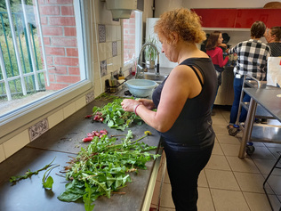 Cueillir et utiliser les plantes sauvages comestibles - Atelier du 4 octobre 2023