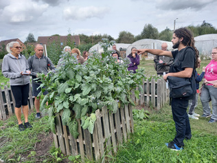 Cueillir et utiliser les plantes sauvages comestibles - Atelier du 4 octobre 2023
