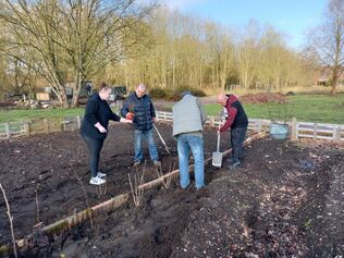 Plantation de petits fruitiers