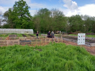 Vue de loin du jardin partagé