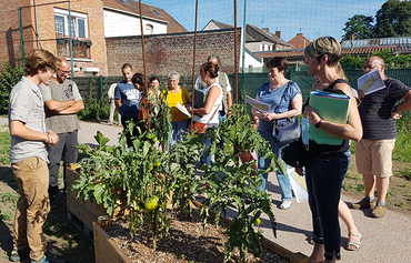 aménagement végétal, respectueux de la permaculture
